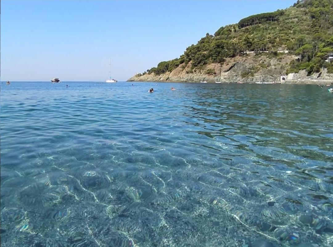 Nido Al Mare Apartment Bonassola Bagian luar foto