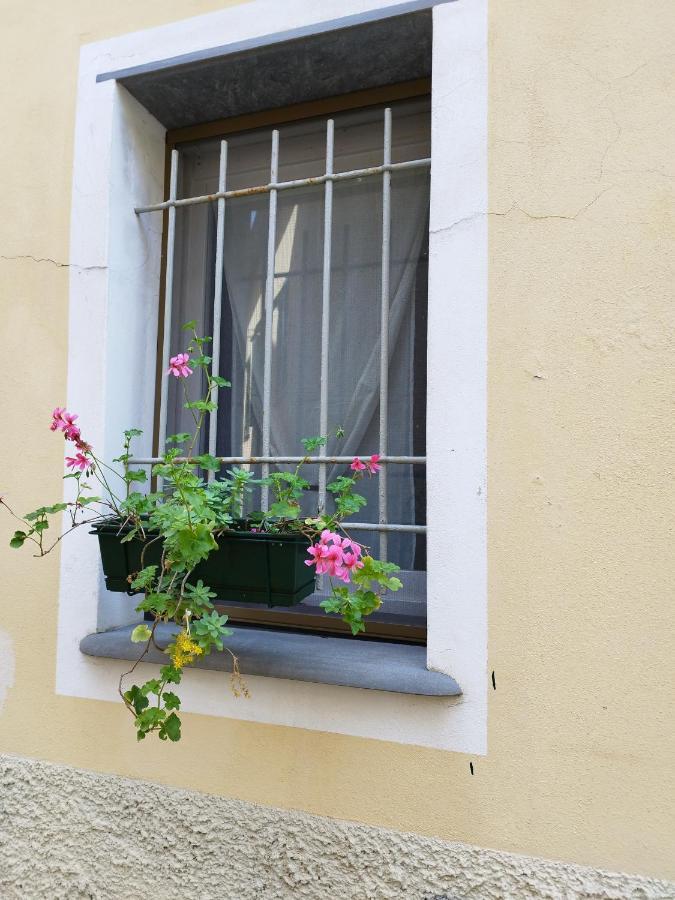 Nido Al Mare Apartment Bonassola Bagian luar foto