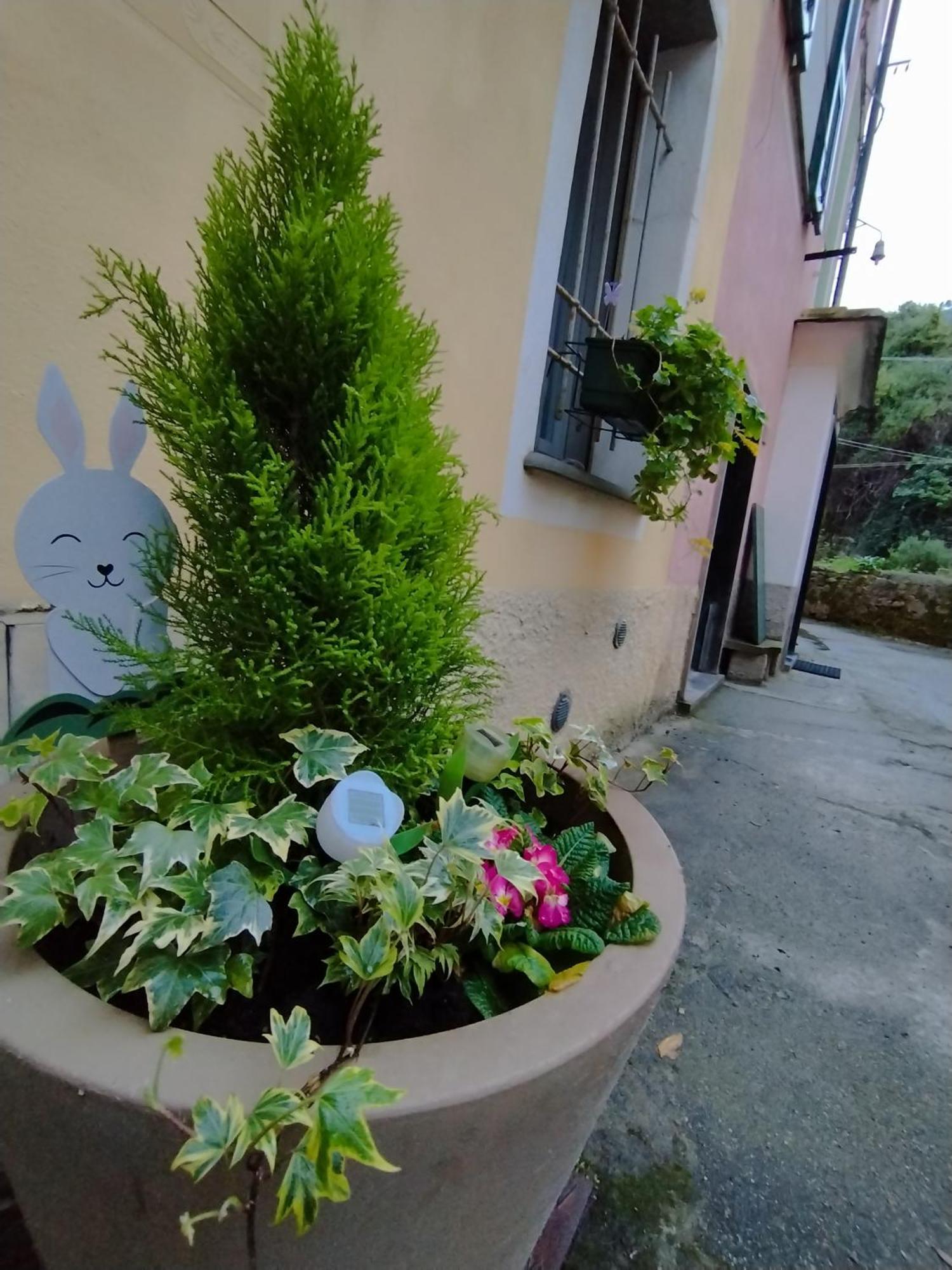 Nido Al Mare Apartment Bonassola Bagian luar foto