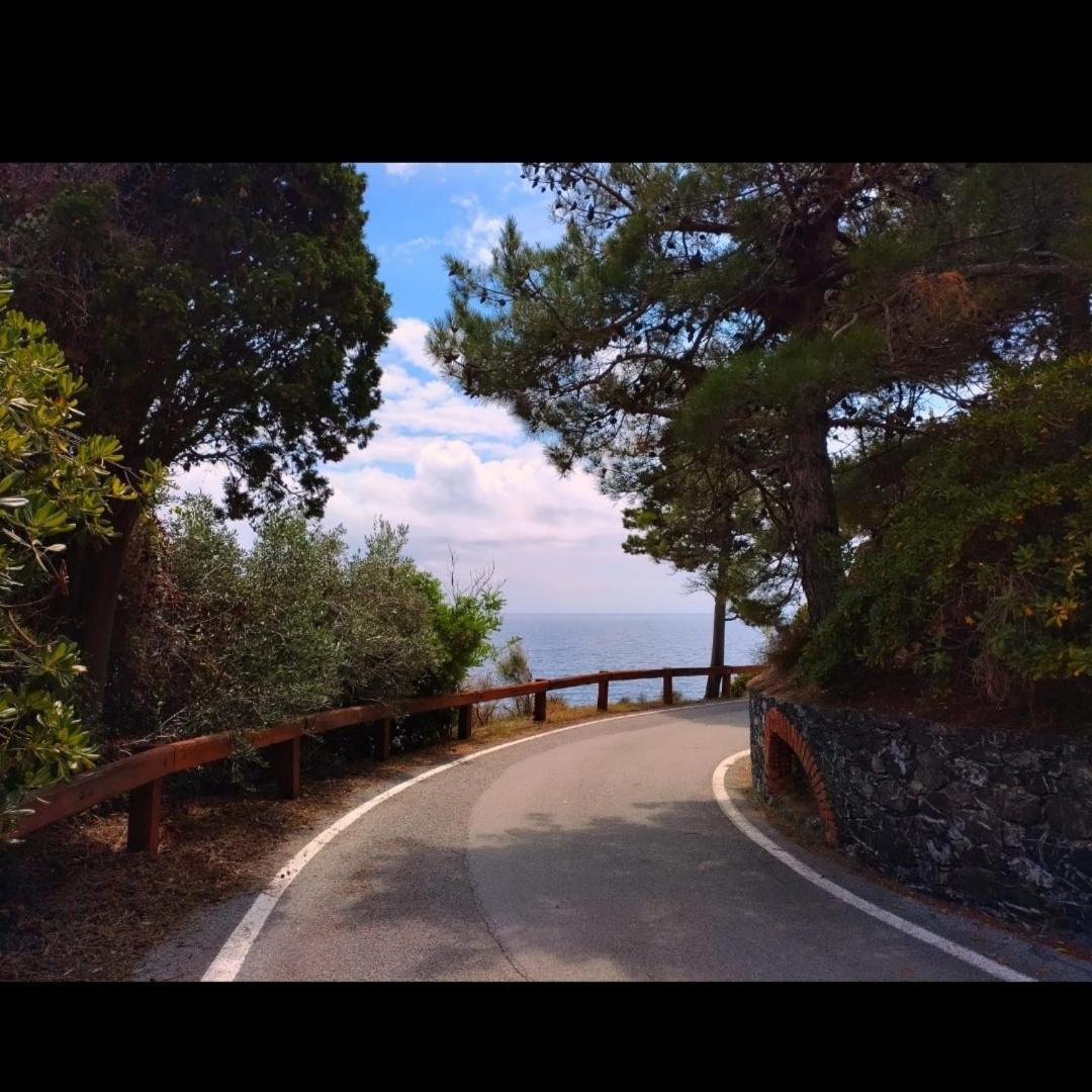Nido Al Mare Apartment Bonassola Bagian luar foto