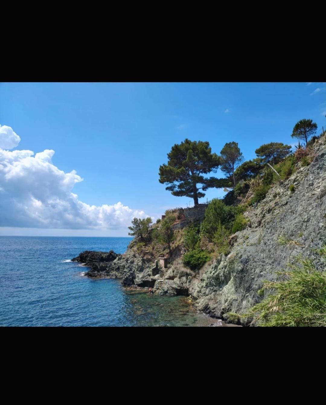 Nido Al Mare Apartment Bonassola Bagian luar foto