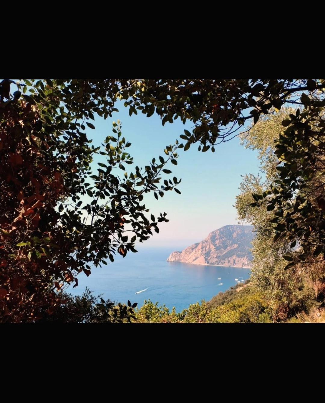 Nido Al Mare Apartment Bonassola Bagian luar foto